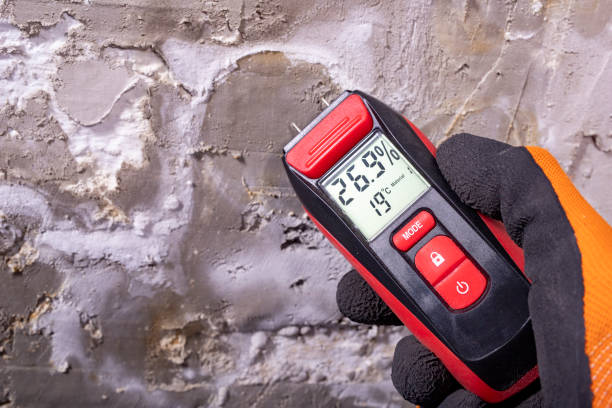 Best Commercial Mold Remediation in Oildale, CA