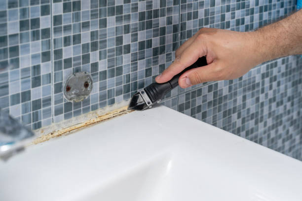Best Industrial Mold Remediation in Oildale, CA