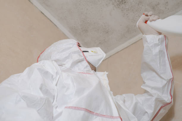 Best Residential Mold Remediation in Oildale, CA