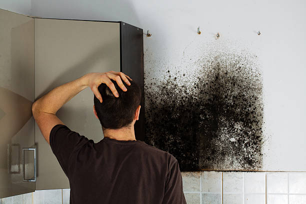 Best HVAC Mold Remediation in Oildale, CA